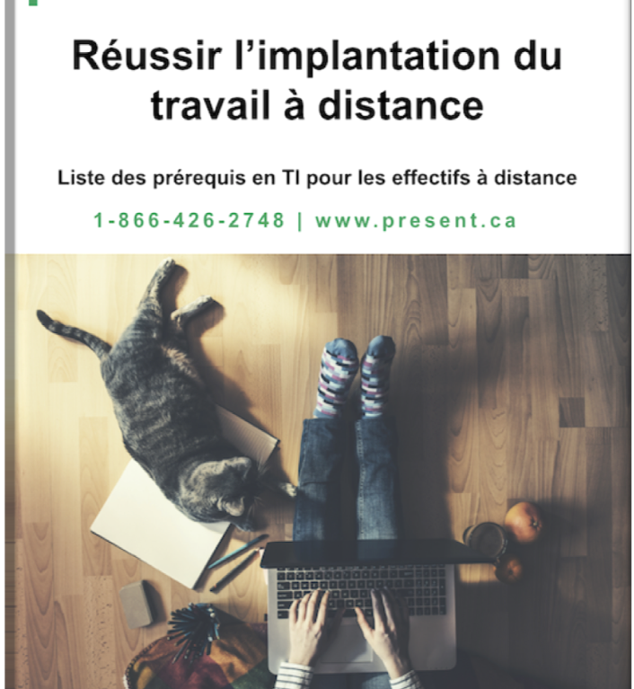 Ebook travail à distance